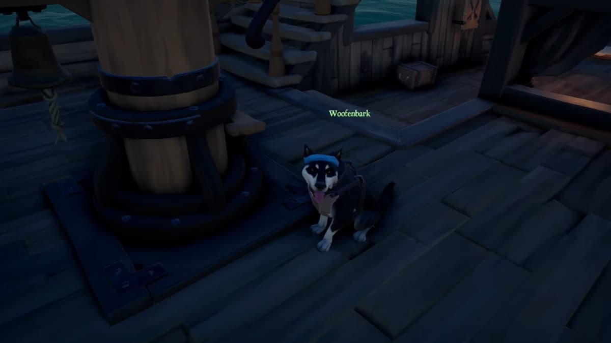 How to buy pets in Sea of Thieves Gamepur