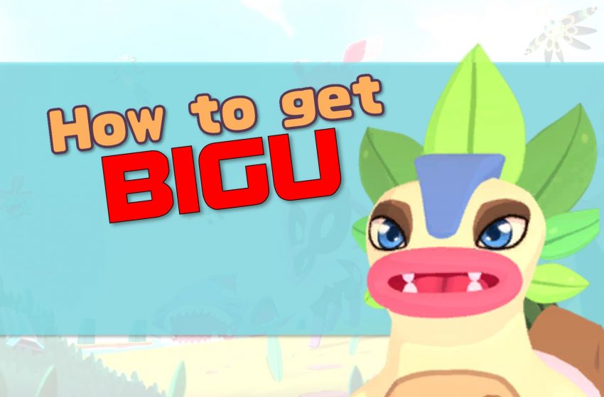 How to get Bigu