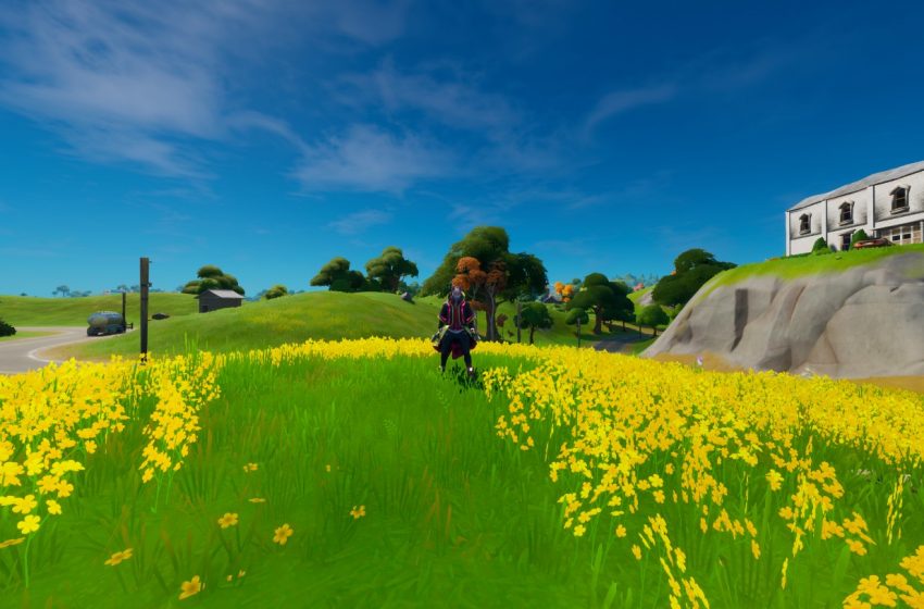 Fortnite