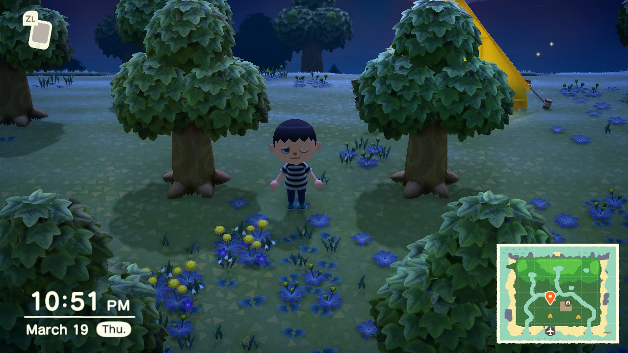 What to do when a wasp hive stings you and how to get medicine in