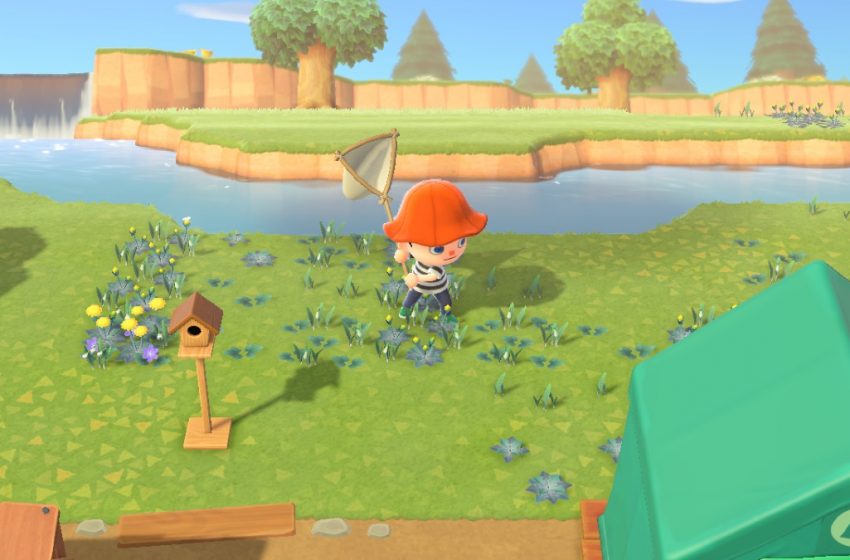 How to sneak up and capture bugs in Animal Crossing New Horizons Gamepur