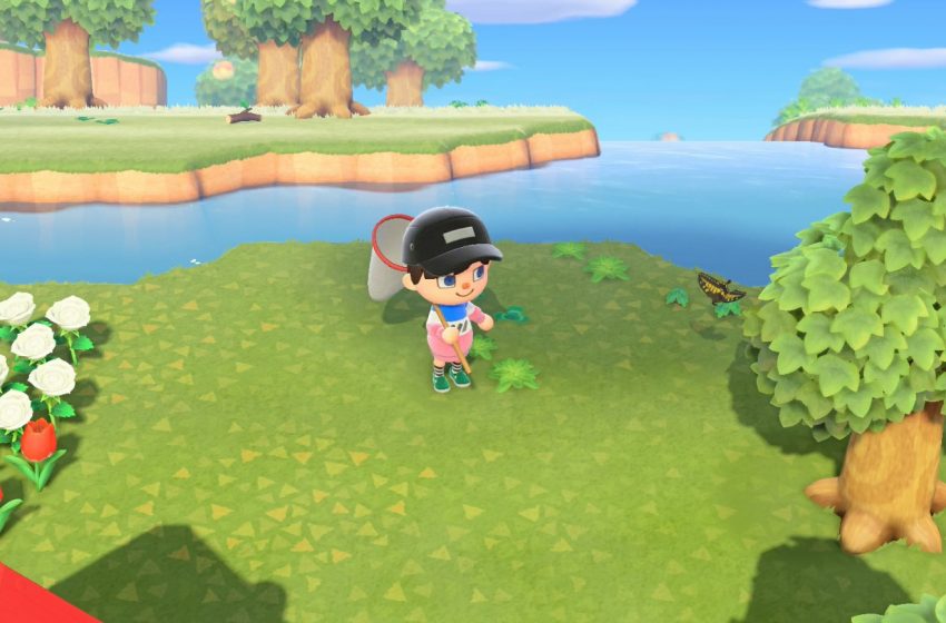 Animal Crossing New Horizons