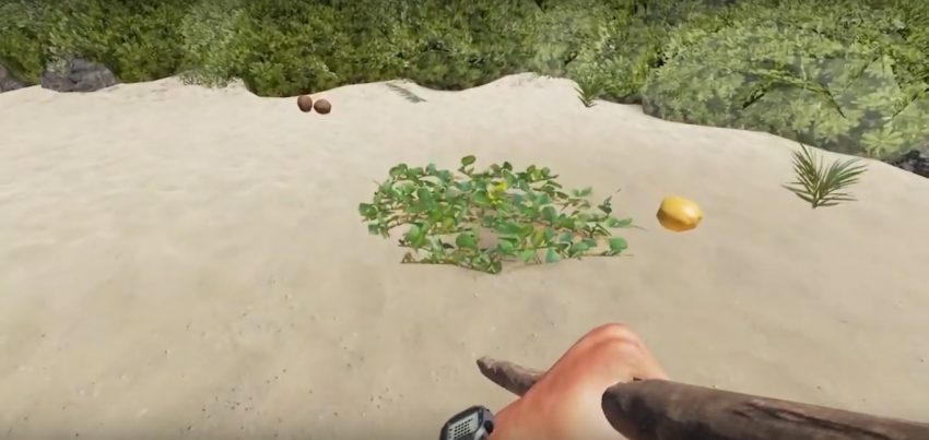 stranded deep poisoning