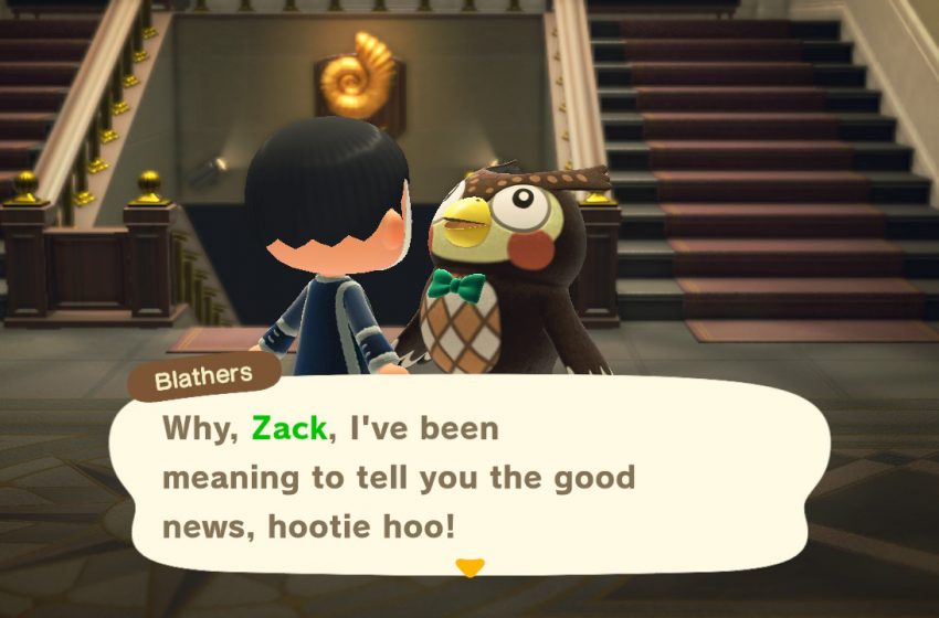 How to get Redd every day in Animal Crossing: New Horizons | Gamepur