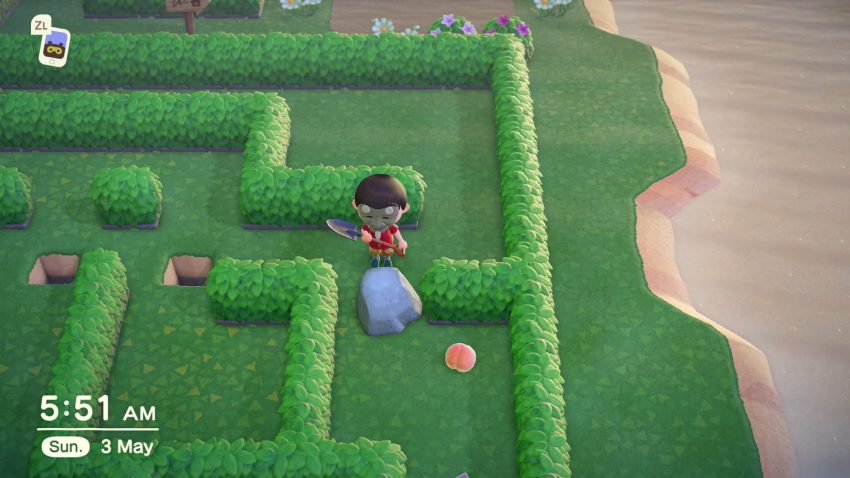 Maze