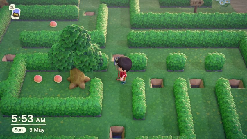 Maze