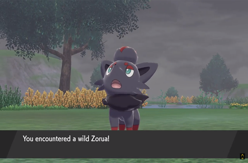 How to get Zorua in Pokemon Sword and Shield's Isle of Armor Gamepur