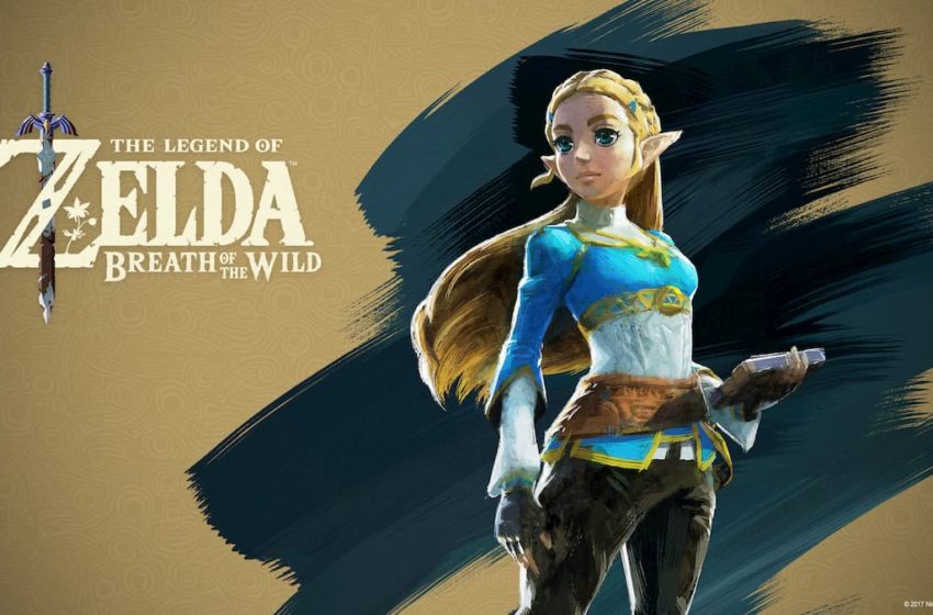 zelda zelda (1)