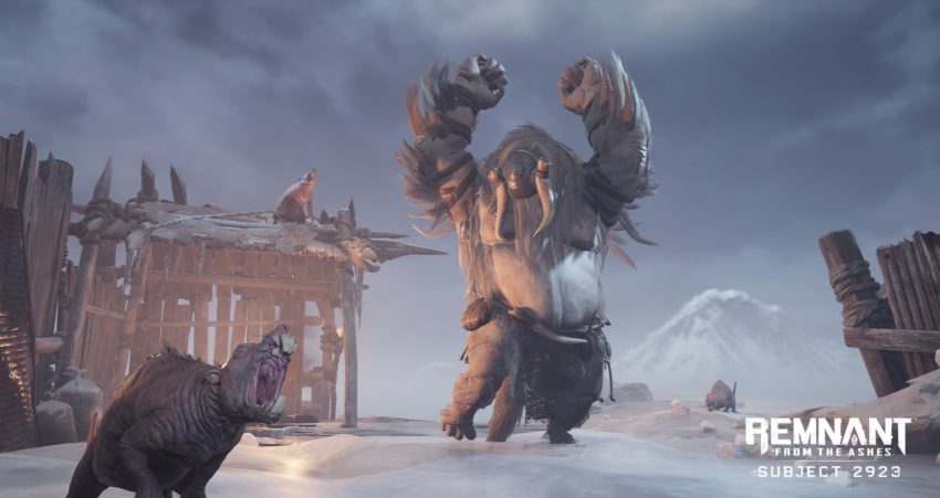 Remnant: From the Ashes Subject 2923