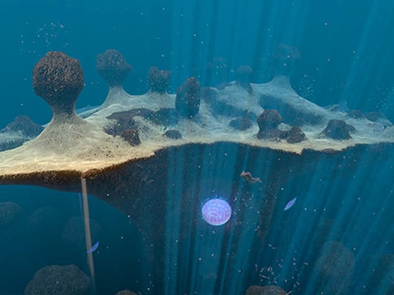 All Subnautica biomes Locations, depths, and harvesting nodes Gamepur