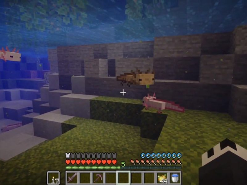 What are in Lush Caves in the Minecraft Caves & Cliffs update? | Gamepur