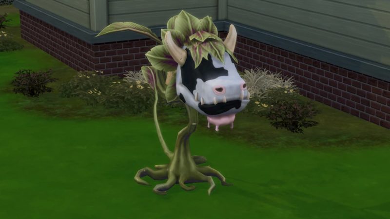 Cow Plant The Sims 4