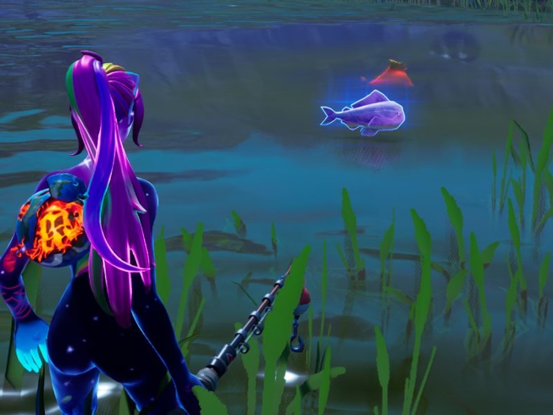 Where to find the Zero Point Fish in Fortnite Gamepur