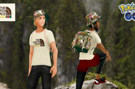 North Face Store Online Sale 
