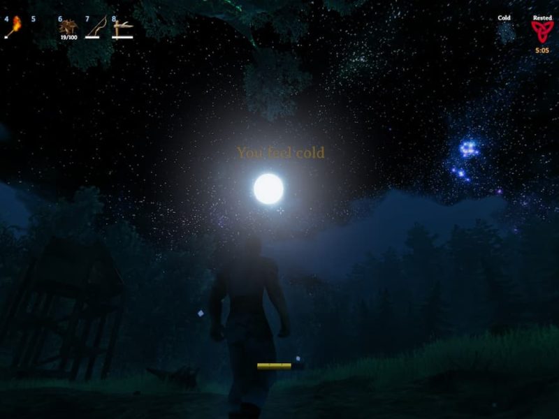 How to put a trophy on a wall in Valheim Gamepur