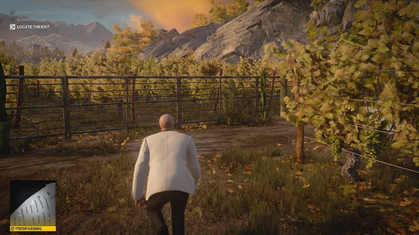 vineyard-hitman-3