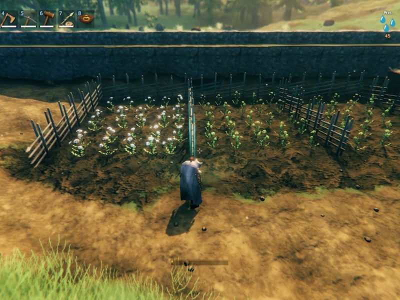 Can you plant and harvest raspberries, blueberries, and mushrooms in