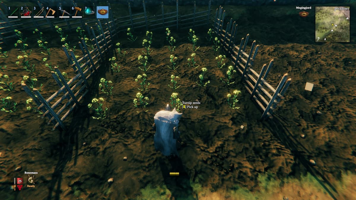 How To Plant Turnip Seeds Valheim Bowoutdoor Inspiration