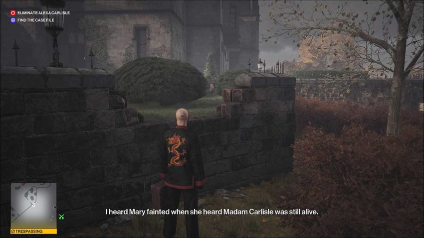 into-the-bushes-hitman-3