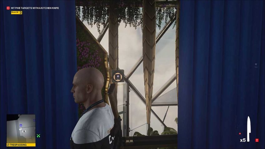 target-4-level-2-hitman-3