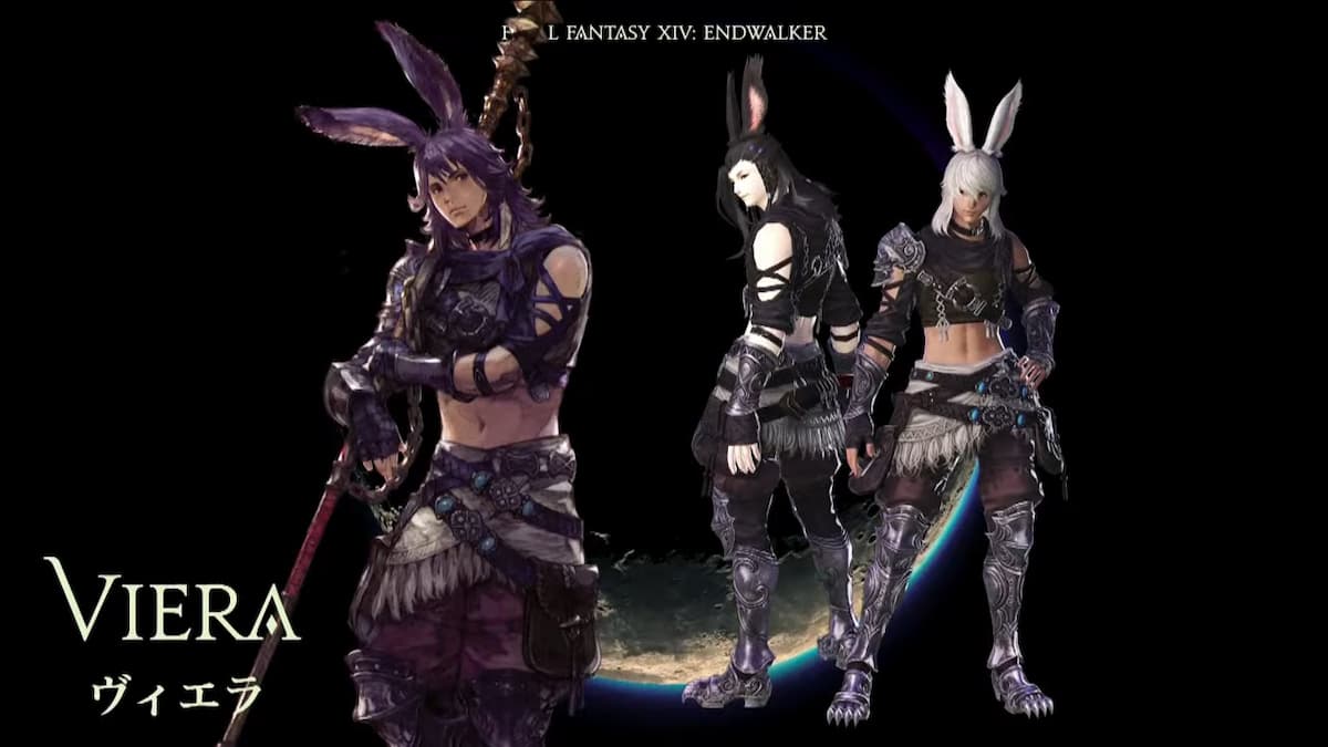 What is the release date for the male Viera race in Final