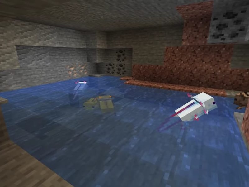Where to find Axolotls in Minecraft Cliffs & Caves Part 1 Gamepur