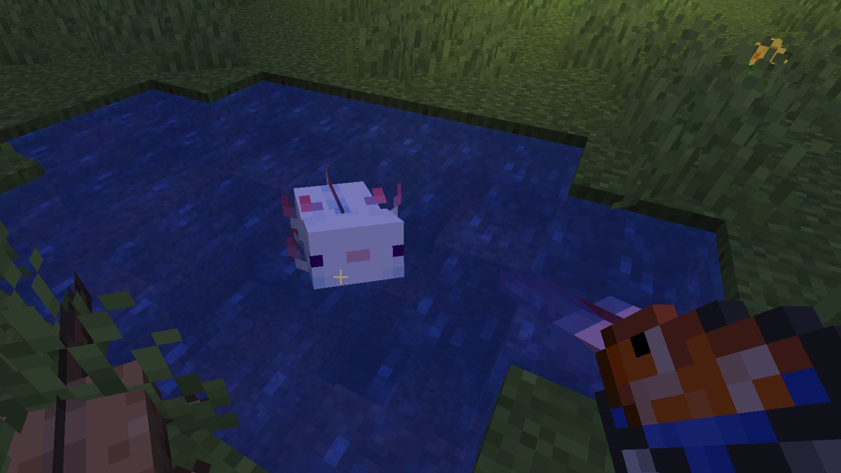 new minecraft axolotl colors