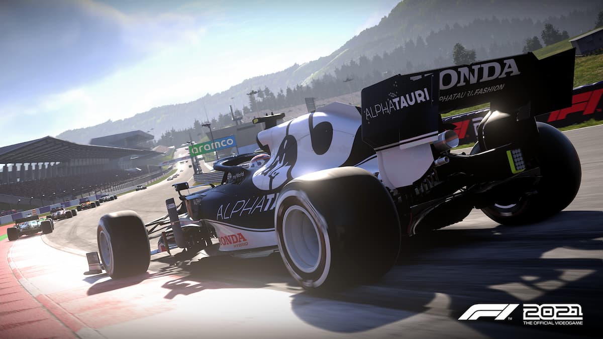 how to set fuel in f1 2013 pc