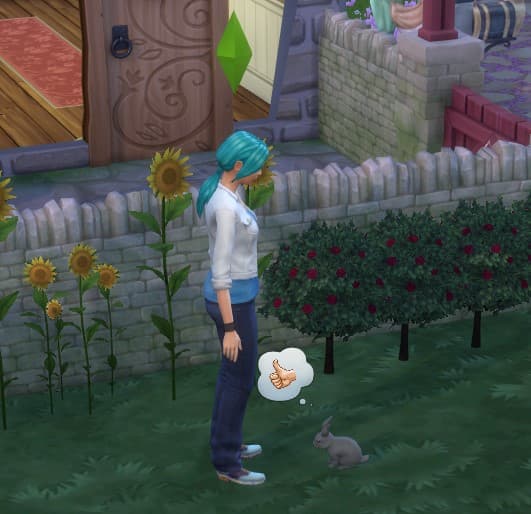 How to befriend rabbits in The Sims 4 Gamepur