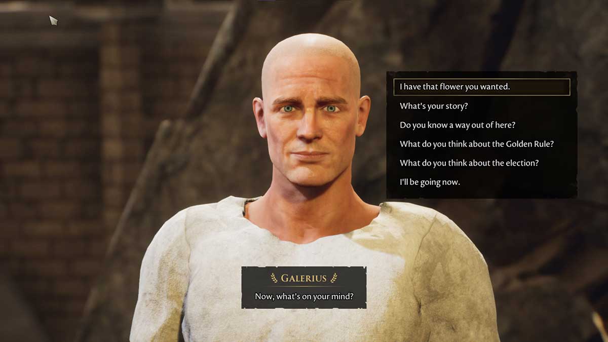 Как получить Красивый цветок для Галерия в Забытом городе NexusMoD.RU