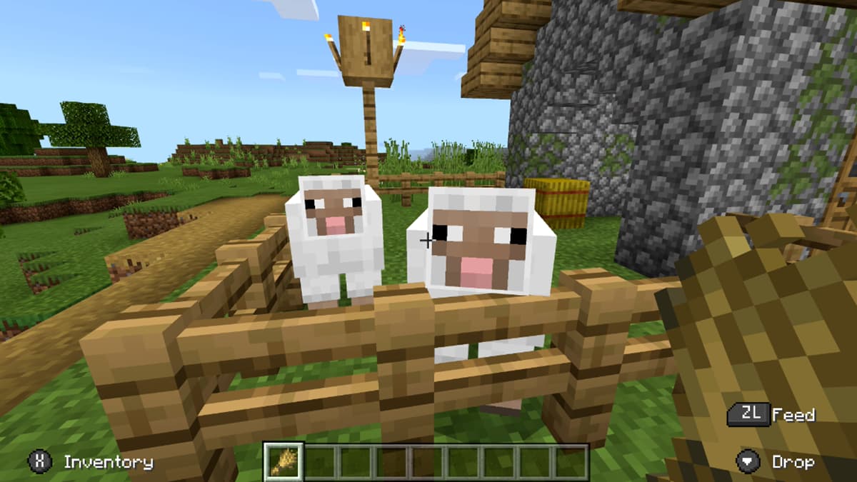 What Do Sheep Eat In Minecraft Gamepur