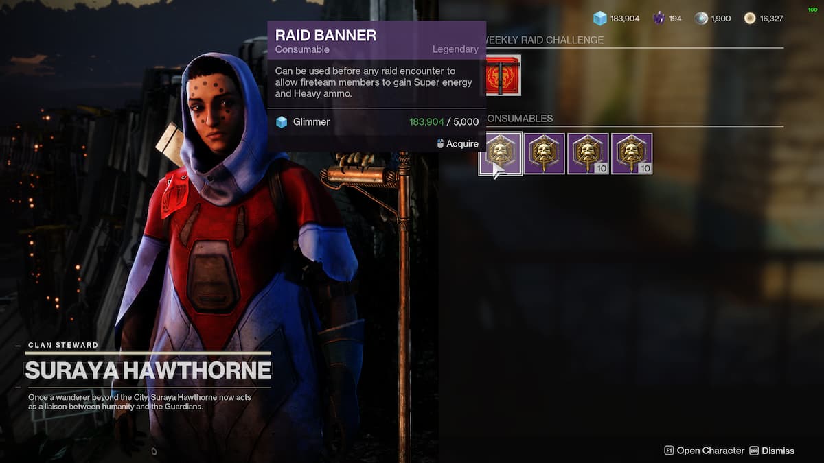 What are Raid Banners and how to use them in Destiny 2 Gamepur