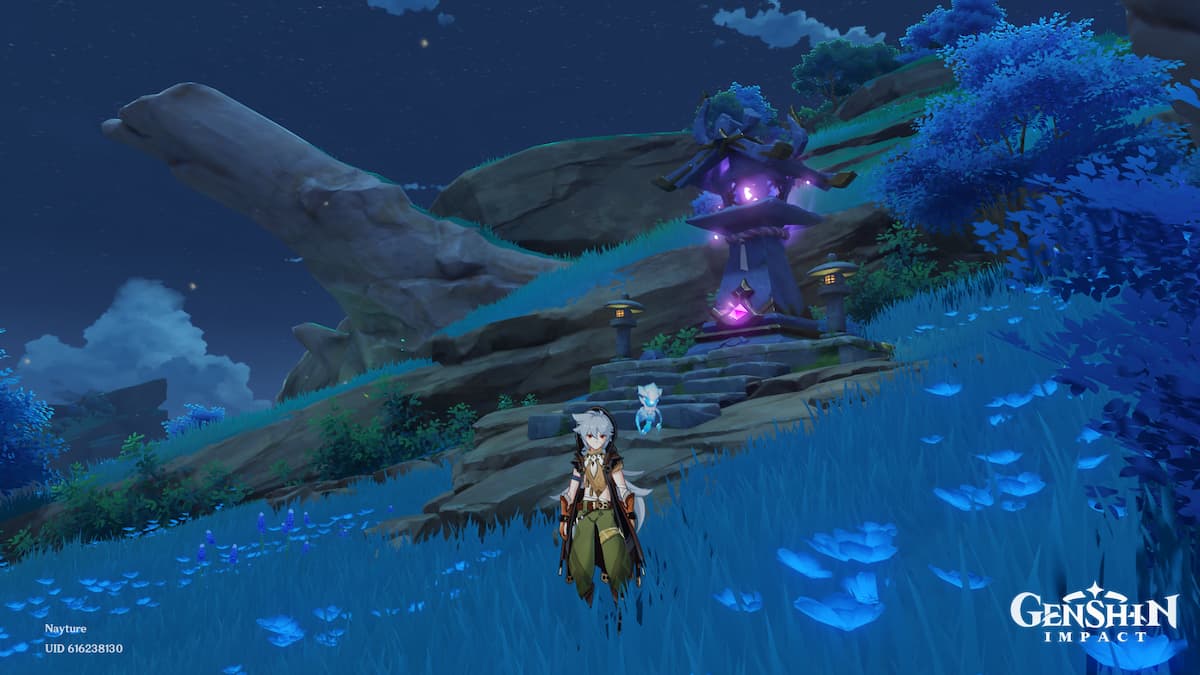 Rock pillar warding stone genshin