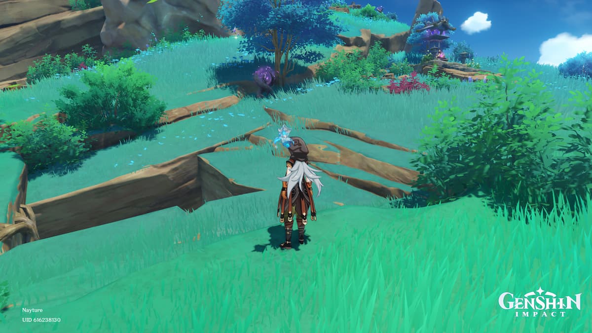 Rock pillar warding stone genshin