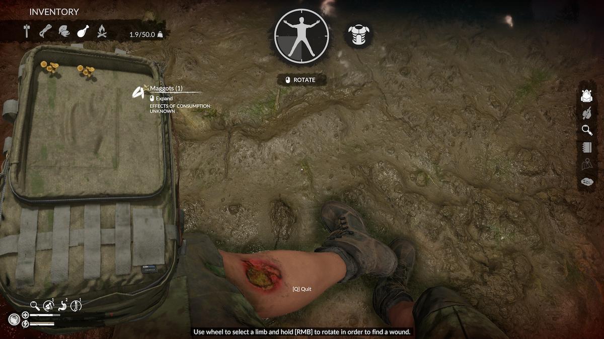 How to treat infected wounds in Green Hell Gamepur