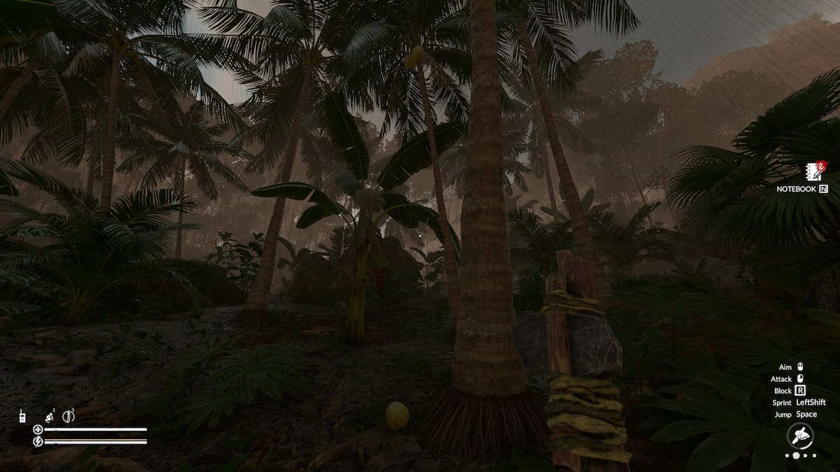 A beginner's guide to Green Hell How to play Green Hell Gamepur