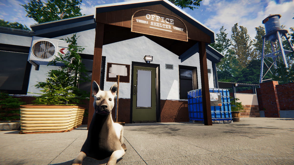 animal-shelter-simulator-fait-un-don-de-vrais-refuges-avant-sa-sortie