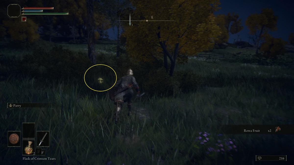 Where to find Mushroom in Elden Ring and what it does Gamepur