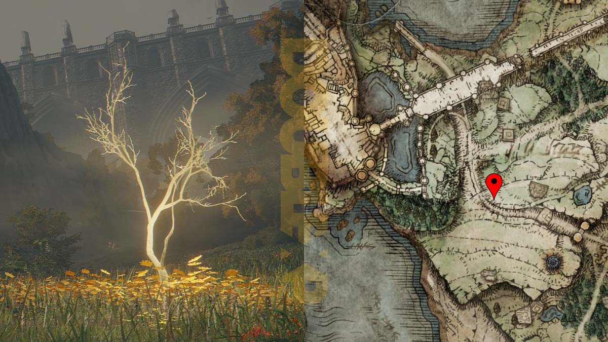 Where to find all Golden Seeds in Limgrave Elden Ring Golden Seed