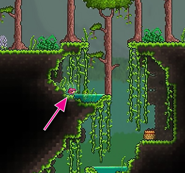 Where to find Mystic Frogs in Terraria Gamepur