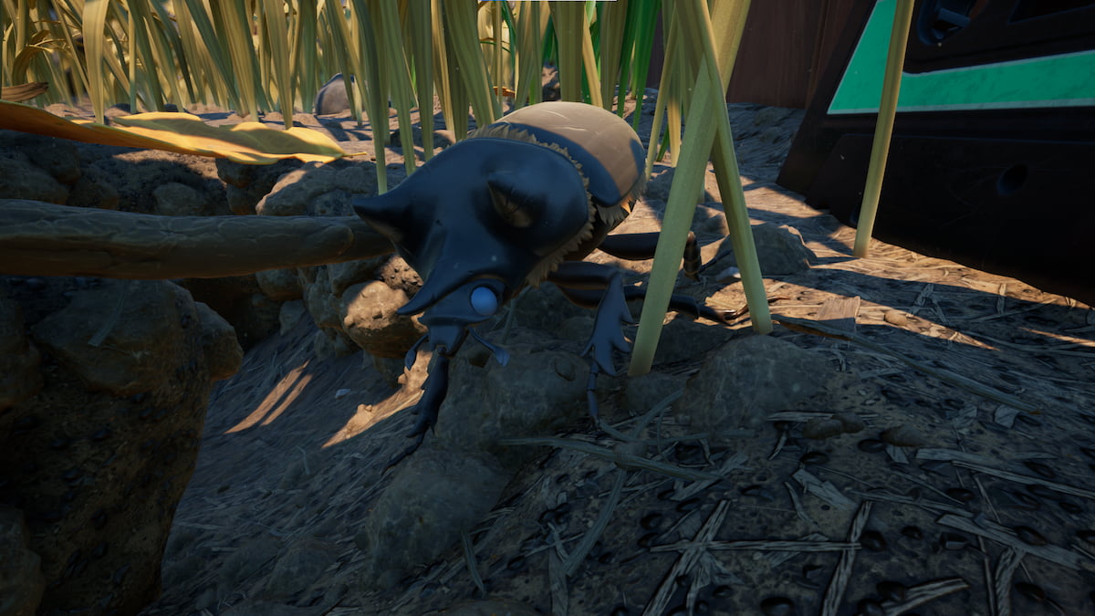 All Black Ox Beetle locations in Grounded Gamepur