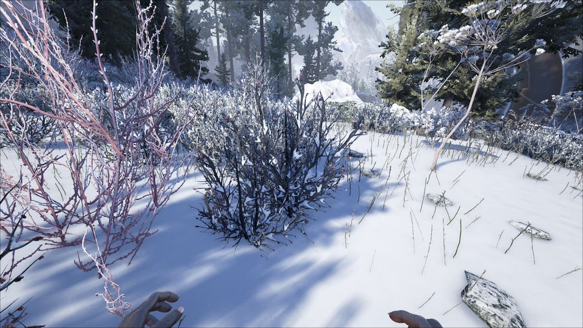 Как найти редкие цветы в Ark Survival Evolved и каких существ