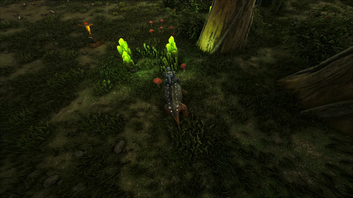 Как найти редкие цветы в Ark Survival Evolved и каких существ