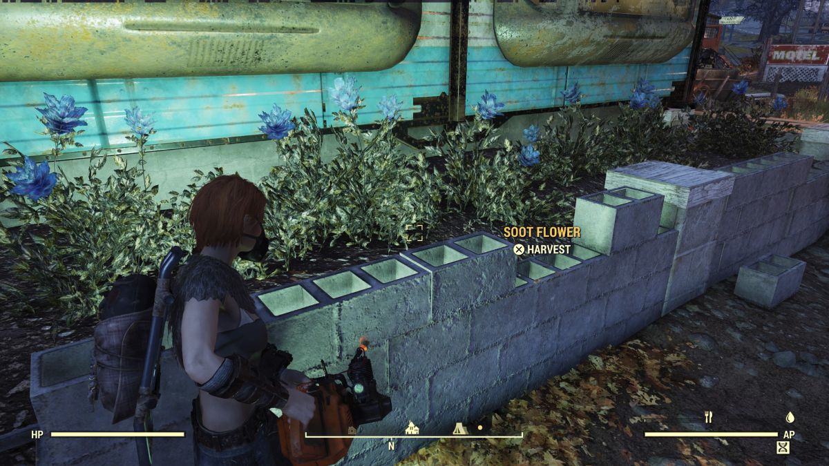 Где найти цветы сажи в Fallout 76 NexusMoD.RU