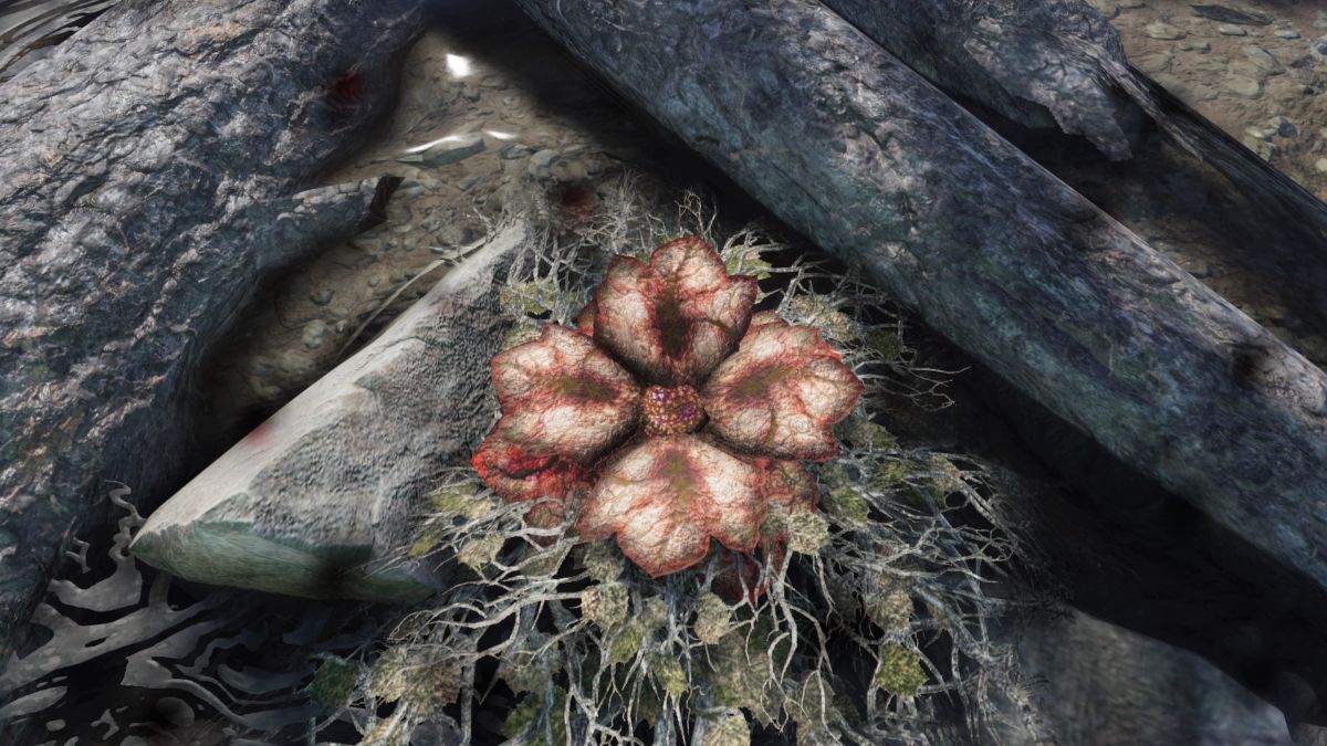 Where to find Bloodleaf in Fallout 76 Gamepur