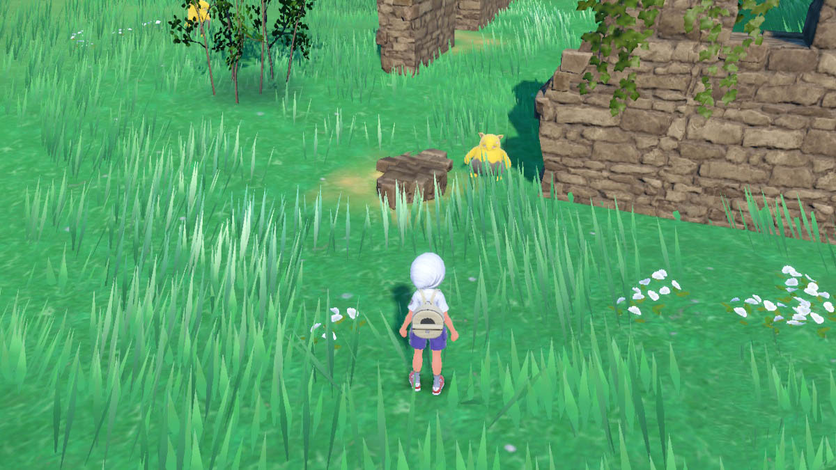 How To Get Drowzee Fur In Pok mon Scarlet And Violet Gamepur