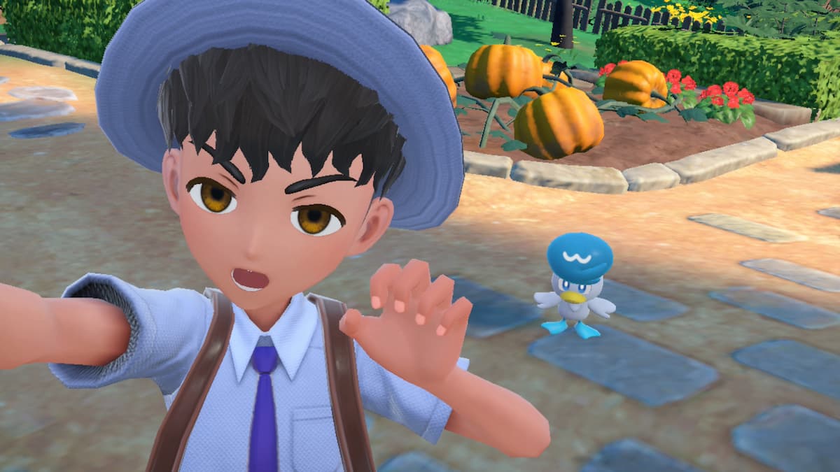 All eyebrow shape options in Pokémon Scarlet and Violet Gamepur